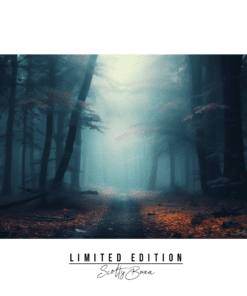 Mystic Forest: Enchantment Awaits Canvas Print (Limited Edition)