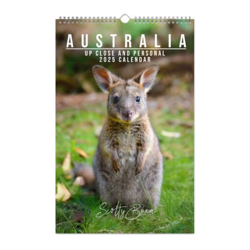 Australia – Up Close and Personal 2025 Calendar – Wildlife Wall Calendar